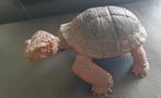 Schildpad kunststof 12 x 6 cm, Ophalen of Verzenden
