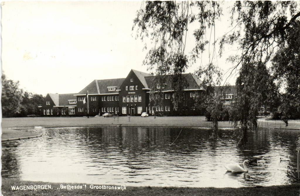 Wagenborgen, Bethesda Grootbronswijk - 1966 gelopen, Ophalen of Verzenden, Voor 1920, Ongelopen, Noord-Brabant