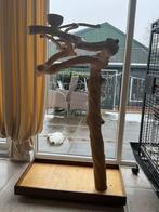 Javaboom, Ophalen, Zo goed als nieuw