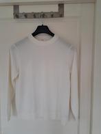 Nieuwe trui s Oliver maat 40 wit, Ophalen of Verzenden, Nieuw, Maat 38/40 (M), Wit