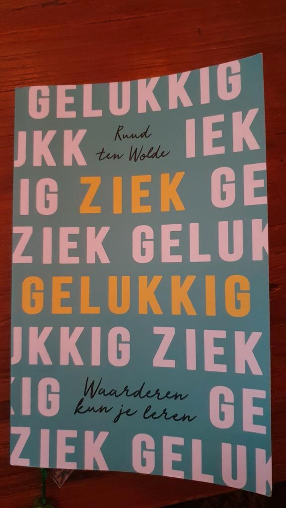 Ruud ten Wolde - Ziek gelukkig, Boeken, Psychologie, Zo goed als nieuw, Ophalen of Verzenden