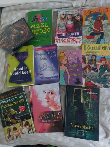 10 meidenboeken, 2 dvds beschikbaar voor biedingen
