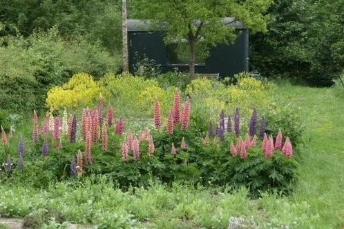 Gevraagd stukje grond bij boerderij Zutphen, Hobby en Vrije tijd, Overige Hobby en Vrije tijd, Zo goed als nieuw, Ophalen