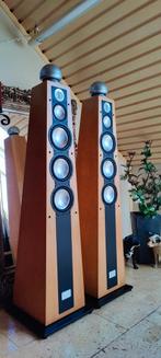 Elac 'Spirit of Music' Zuilspeaker - Birds Eye Maple Veneer., Overige merken, Ophalen of Verzenden, Zo goed als nieuw, 120 watt of meer