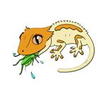 Voederinsecten en Diepvries voederdieren!, Ophalen, De Reptielenboer, Overige typen, Nieuw