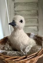 Genaaldvilt baby gansje vigel opgezet oud brocante kant, Ophalen of Verzenden