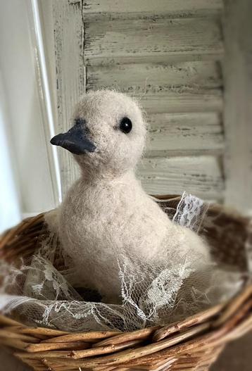 Genaaldvilt baby gansje vigel opgezet oud brocante kant beschikbaar voor biedingen