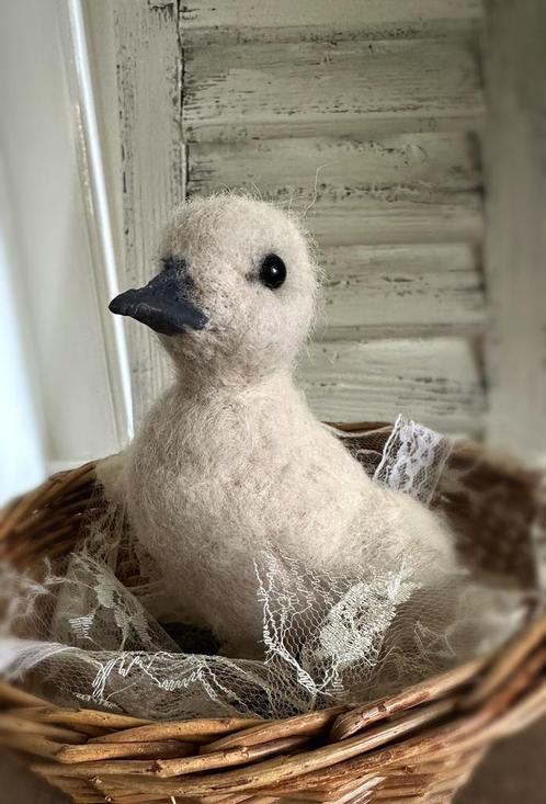 Genaaldvilt baby gansje vigel opgezet oud brocante kant, Antiek en Kunst, Curiosa en Brocante, Ophalen of Verzenden