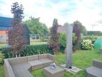 Rode Noorse Esdoorn - Sierboom, Tuin en Terras, Planten | Bomen, Bloeit niet, Overige soorten, 250 tot 400 cm, Ophalen