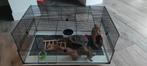 Hamsterkooi, Kooi, Gebruikt, Hamster, 75 tot 110 cm