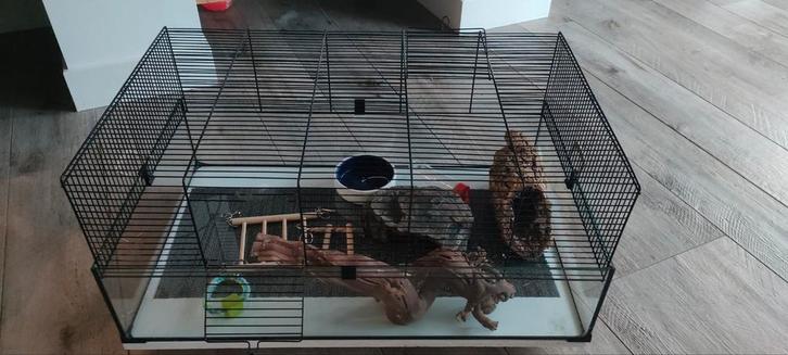 Hamsterkooi, Dieren en Toebehoren, Knaagdieren en Konijnen | Hokken en Kooien, Gebruikt, Kooi, Minder dan 60 cm, 75 tot 110 cm