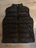 Prada bodywarmer NIEUW, Kleding | Heren, Bodywarmers, Maat 52/54 (L), Zwart, Nieuw, Ophalen of Verzenden