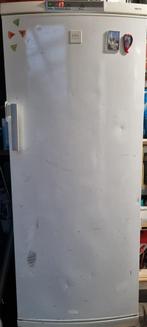 Diepvriezer 166cm hoog, 252 Liter, Witgoed en Apparatuur, Vriezers en Diepvrieskisten, Ophalen, Gebruikt, 160 cm of meer, Vrijstaand