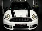 Mini Mini Countryman 2.0 Cooper S ALL4 Chili PANO NAVI 192 P, Auto's, Mini, 1998 cc, 1505 kg, Leder en Stof, Wit