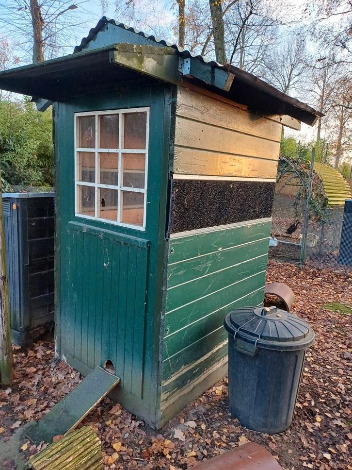 Mini tuinhuis opberghok of kippen cavia konijn, Dieren en Toebehoren, Knaagdieren en Konijnen | Hokken en Kooien, Hok, 90 cm of meer