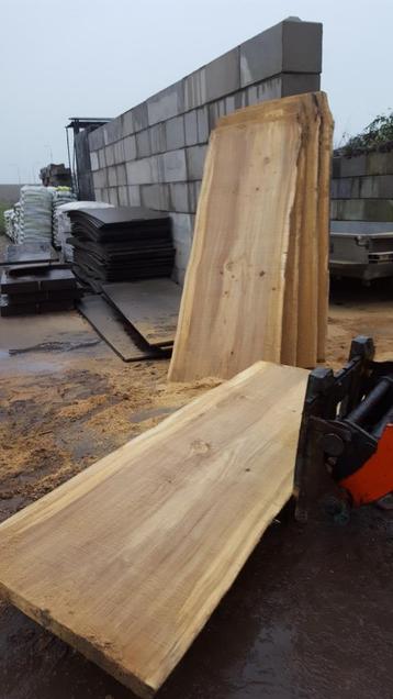 Boomstamtafel, boomstamplank, schaaldelen, hout plaat beschikbaar voor biedingen