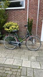 Station fiets Batavus, Ophalen, Gebruikt, Versnellingen, 56 cm of meer