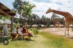 2 Tickets safaripark Beekse Bergen, Tickets en Kaartjes, Twee personen, Ticket of Toegangskaart