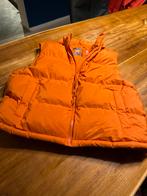 Oranje Bodywarmer - XL, Ophalen of Verzenden, Zo goed als nieuw, Maat 56/58 (XL), Oranje