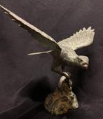 Bronzen adelaar met vis in klauwen .Fraai zuiver brons, Antiek en Kunst, Ophalen of Verzenden