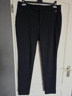 Broek Dayz   Kleur : Zwart maat : 42, Kleding | Dames, Zwart, Maat 42/44 (L), Ophalen of Verzenden, Zo goed als nieuw