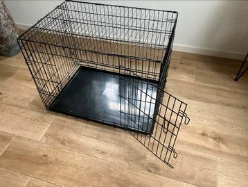 Bench honden beschikbaar voor biedingen