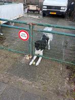 Groen metalen hek met palen. 26080cm, Ophalen, Met poort, Gebruikt, Spijlenhekwerk