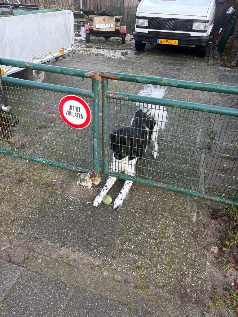 Groen metalen hek met palen. 260x80cm, Tuin en Terras, Tuinhekken en Hekwerk, Gebruikt, Spijlenhekwerk, IJzer, Met poort, Ophalen