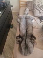 Prachtig Vossenbont Vel, 100 tot 150 cm, Vintage, Zo goed als nieuw, 50 tot 100 cm