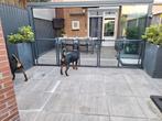 Hek met poorten - 4 meter breed, Met poort, Ophalen of Verzenden, Zo goed als nieuw, Tuinhek