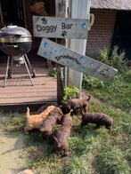 Lagotto Romagnolo pups, Italiaanse Waterhondjes, reu en teef, Overige rassen, CDV (hondenziekte), 8 tot 15 weken, Meerdere