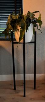 Zwarte Plantenstandaard - Goede Staat, Huis en Inrichting, Woonaccessoires | Zuilen en Pilaren, Ophalen, Gebruikt