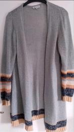 Stijlvol vest van Zhenzi - Maat M, Maat 38/40 (M), Zhenzi, Ophalen of Verzenden, Zo goed als nieuw