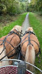 Dubbelspan gr schetlander verkocht, Dieren en Toebehoren, Paarden en Pony's | Hoofdstellen en Tuigage, Ophalen, Zo goed als nieuw