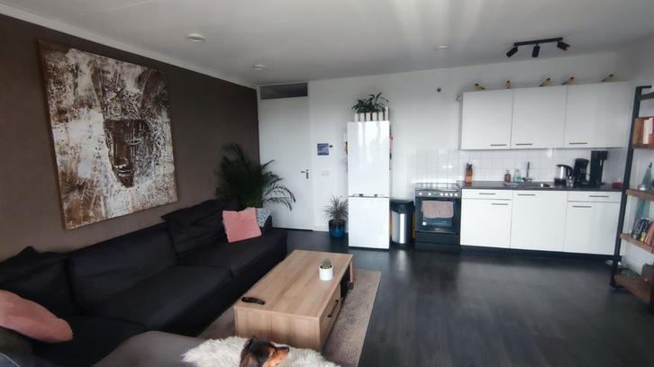 (€250,- tipgeld)WONINGRUIL GEZOCHT - Heemstede of omstreken, Huizen en Kamers, Op zoek naar een kamer