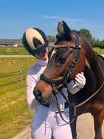 Presteq hoofdstel cob, Dieren en Toebehoren, Paarden en Pony's | Hoofdstellen en Tuigage, Ophalen of Verzenden, Dressuur