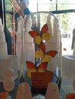Opgezette vlinder in glazen vitrine, Ophalen of Verzenden, Zo goed als nieuw, Insect, Opgezet dier