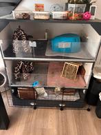 2 lieve cavias met toebehoren, Dieren en Toebehoren, Minder dan 60 cm, Ophalen of Verzenden, Zo goed als nieuw, Hok