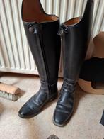 Petrie rijlaarzen, Dieren en Toebehoren, Paardrijkleding, Dressuur, Ophalen of Verzenden, Zo goed als nieuw, Dames