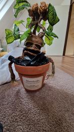 XXL Mandrake Harry Potter 65cm, Ophalen of Verzenden