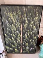 Poster Bos, Ophalen, Minder dan 50 cm, Zo goed als nieuw, Schilderij