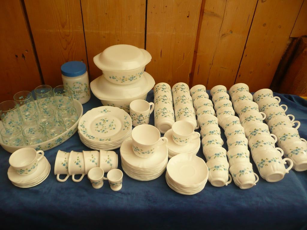 Vintage Servies Acropal France Veronica, Ophalen