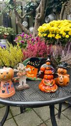 Halloween diverse, Ophalen of Verzenden, Zo goed als nieuw, Halloween of Griezel