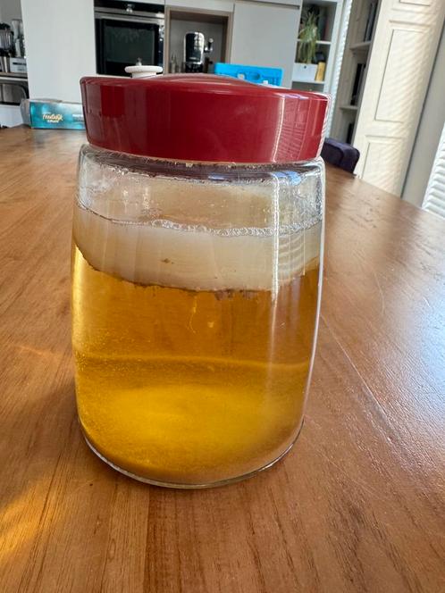Fermentatiepot met Jun scoby en startervloeistof biologisch, Diversen, Levensmiddelen, Ophalen