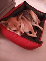 Alleen als je het echt wilt., Ophalen of Verzenden