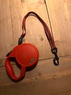 Honden loop lijn, Dieren en Toebehoren, Ophalen of Verzenden