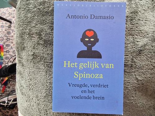 Antonio Damasio - Het gelijk van Spinoza, Boeken, Filosofie, Zo goed als nieuw, Ophalen of Verzenden