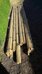 Bonenstokken bamboepalen bamboestokken tonkin plantensteun, Tuin en Terras, Palen, Balken en Planken, Nieuw, Overige typen, Ophalen of Verzenden