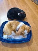 Perfect petzzz, Ophalen of Verzenden