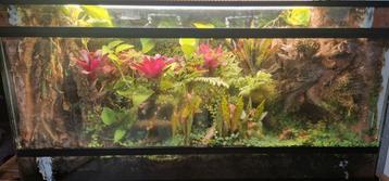 Terrarium 100x50x50 beschikbaar voor biedingen